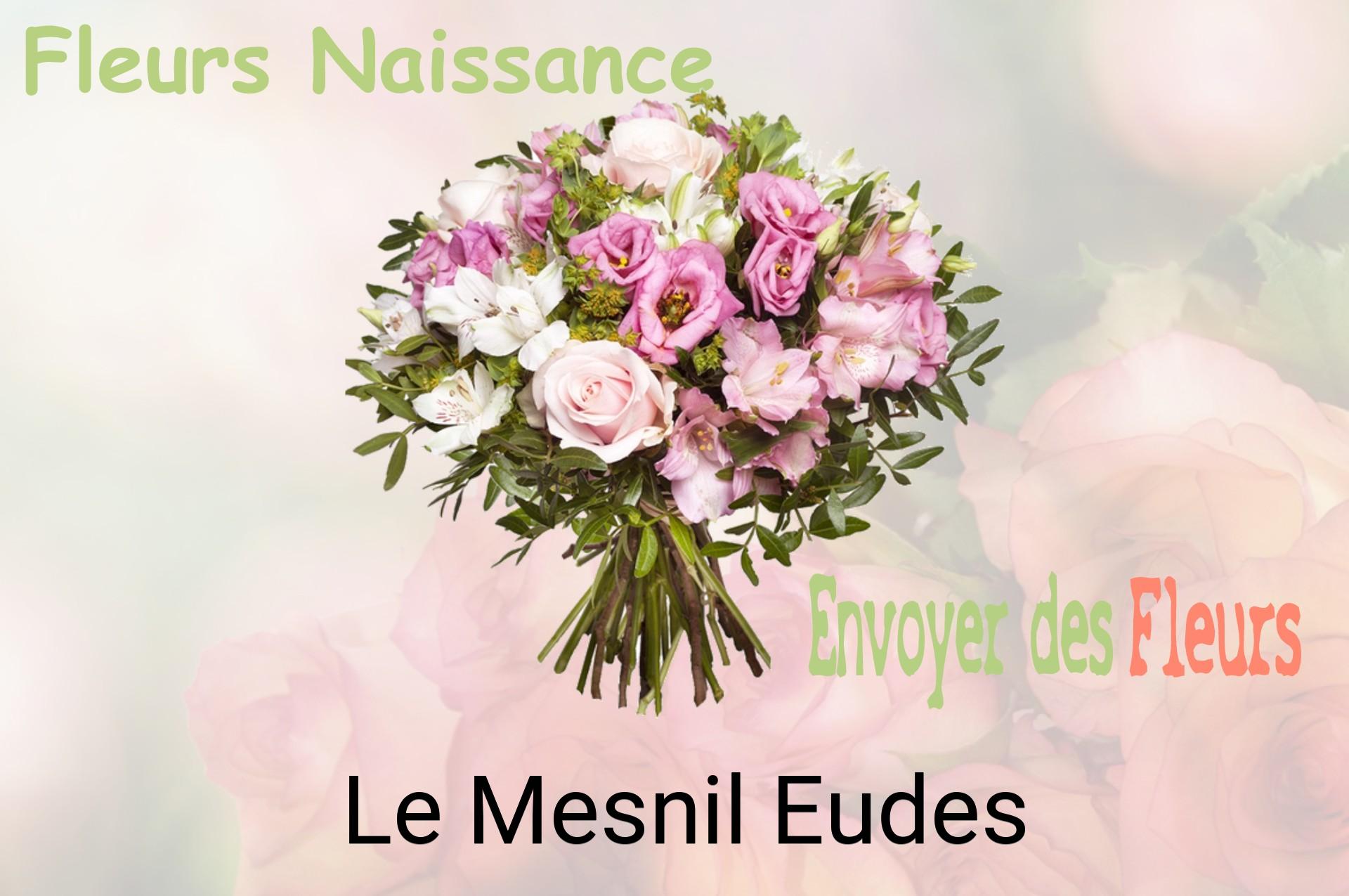 Bouquet de fleurs de naissance livré à Le Mesnil-Eudes